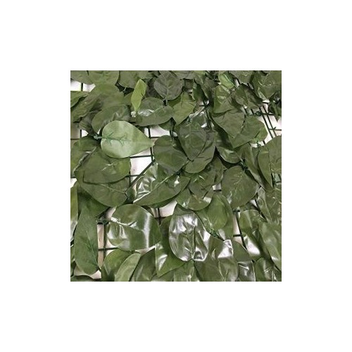 Stuoia edera Laurel Verde scuro  150x300 cm