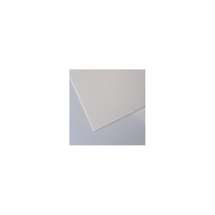 Plastonda Tuttofare pannello 1000x500mm sp. 2,5mm - Bianco