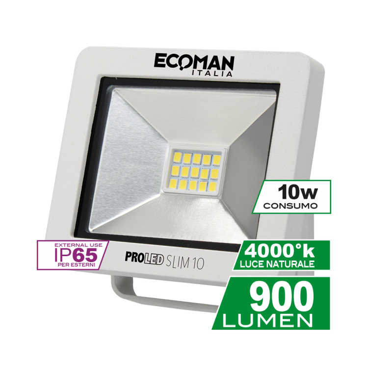 Proiettore Mini Slim 10W Luce Naturale White