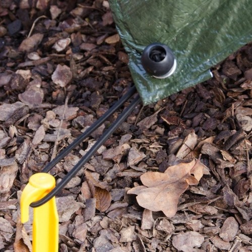 Elastici tenditelo con sfera