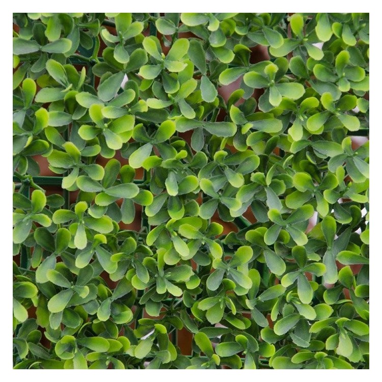 Siepe finta artificiale Smpreverde Buxus 100x100 cm