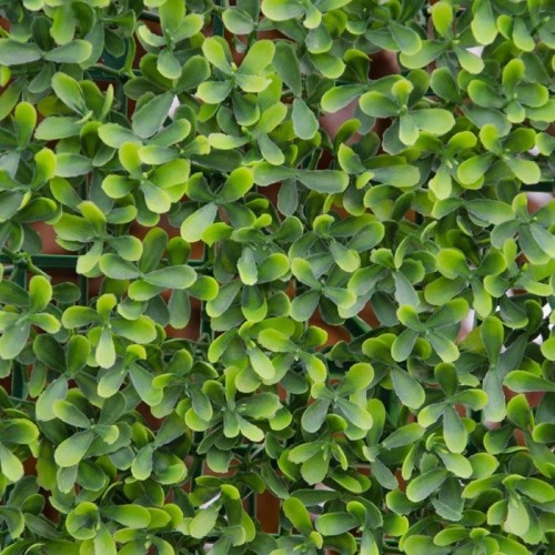 Siepe finta artificiale Smpreverde Buxus 100x100 cm
