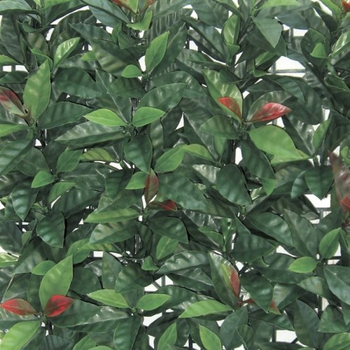 Siepe finta artificiale Sempreverde Redplast 100x100 cm