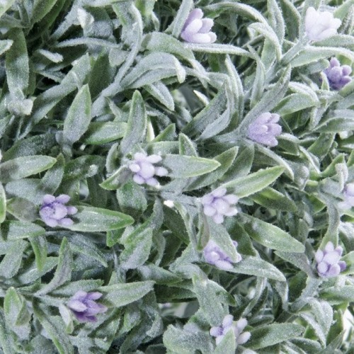Siepe artificiale sferica Greeball Provence Ø 32 cm