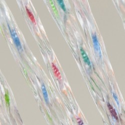 Tenda Rainbow 100x220 cm (145 fili) 2