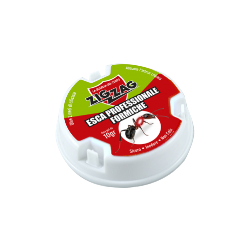 Zig Zag Insetticida Esca Antiformiche