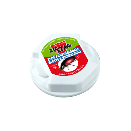 Zig Zag Insetticida Esca Scarafaggi