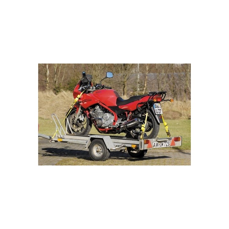 Cinghia di serraggio a cricchetto con gancio 5 Metri