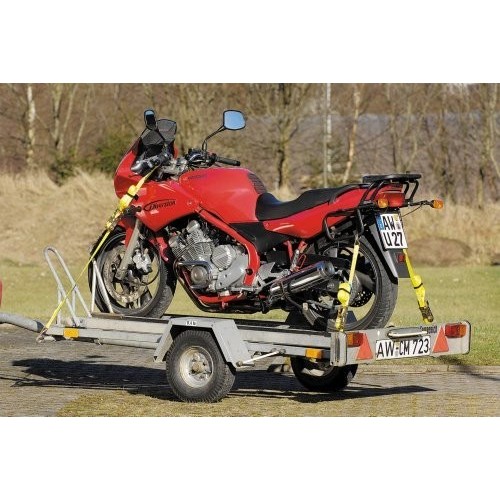 Cinghia di serraggio a cricchetto con gancio 5 Metri