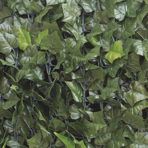 Siepe finta artificiale Sempreverde Point Edera 150x300cm