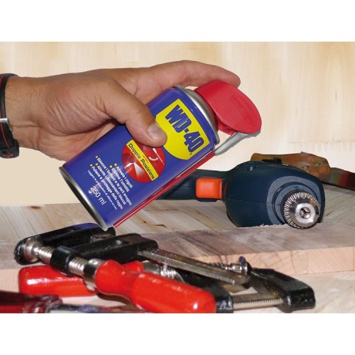 WD-40 Prodotto doppia posizione - Lubrificante Spray - 250 ml
