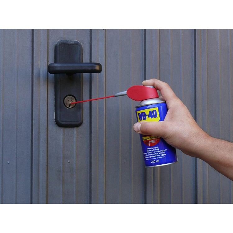 WD-40 Prodotto doppia posizione - Lubrificante Spray - 250 ml