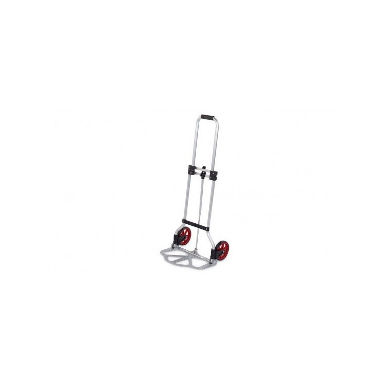 Carrello portapacchi estendendibile pieghevole portata 45kg
