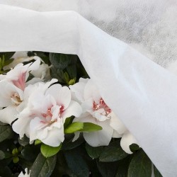 TESSUTO NON TESSUTO ANTIGELO PER PIANTE - 1.60X10