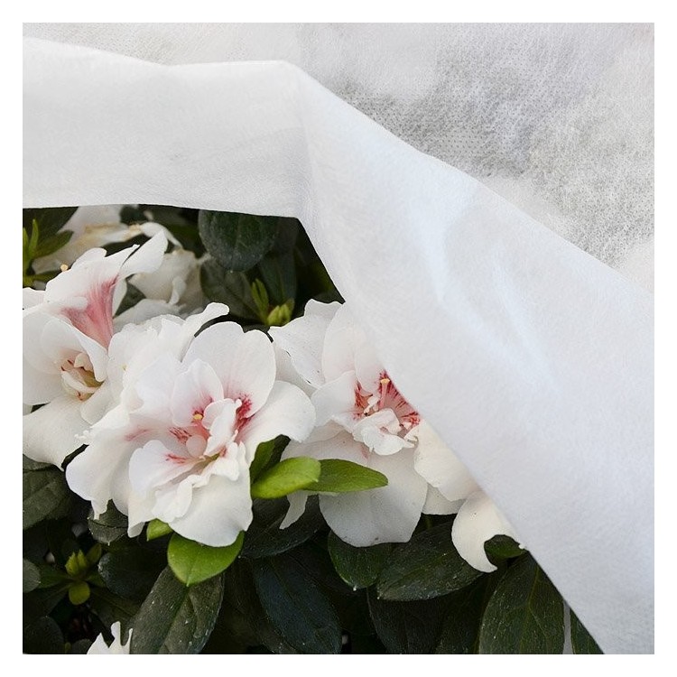 TESSUTO NON TESSUTO ANTIGELO PER PIANTE - 2.40X10