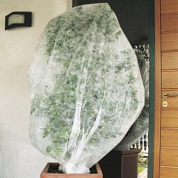 TESSUTO NON TESSUTO ANTIGELO PER PIANTE - 1.0X1.6 mt