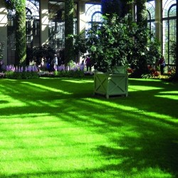 Tappeto erbetta,Erba sintetica spes.50mm H2x10mt 2