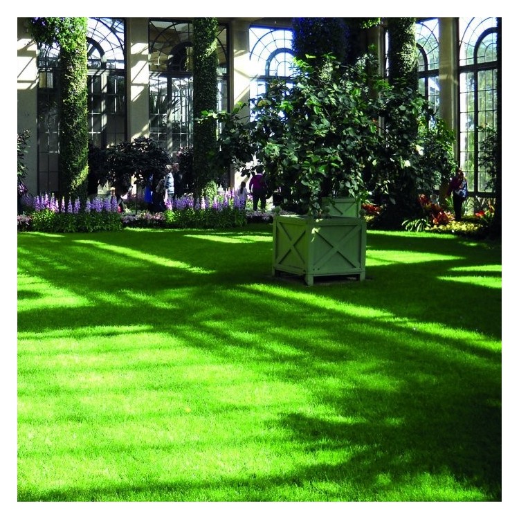 Tappeto erbetta,Erba sintetica spes.50mm H2x10mt