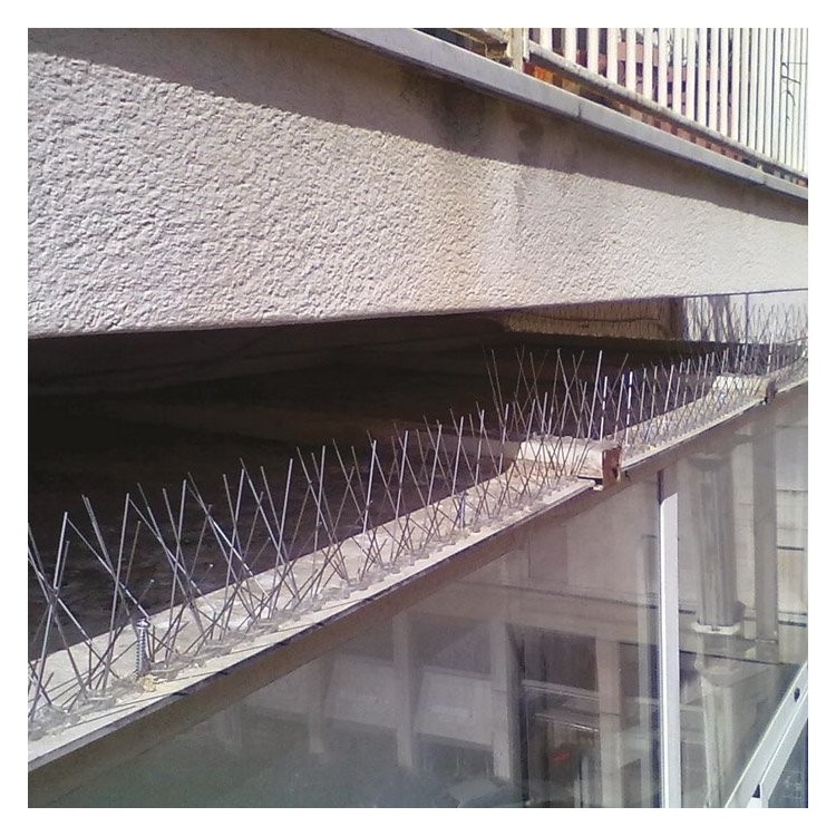 Dissuasore per uccelli in acciaio flessibile 100x2.7 cm