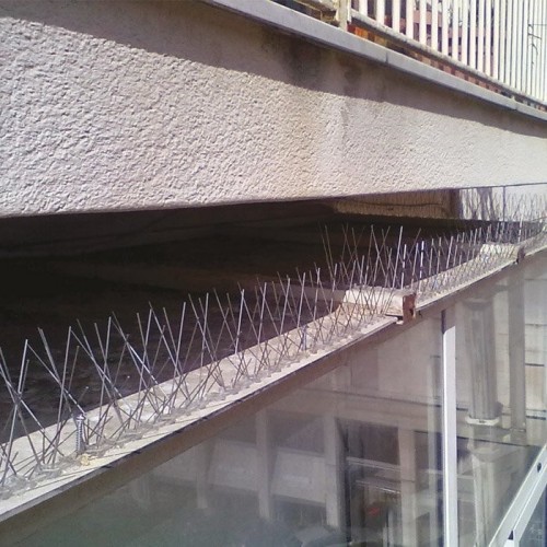 Dissuasore per uccelli in acciaio flessibile 100x2.7 cm