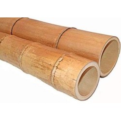 Canna di bambù ideale per arredo 3 m diametro 4/5 cm