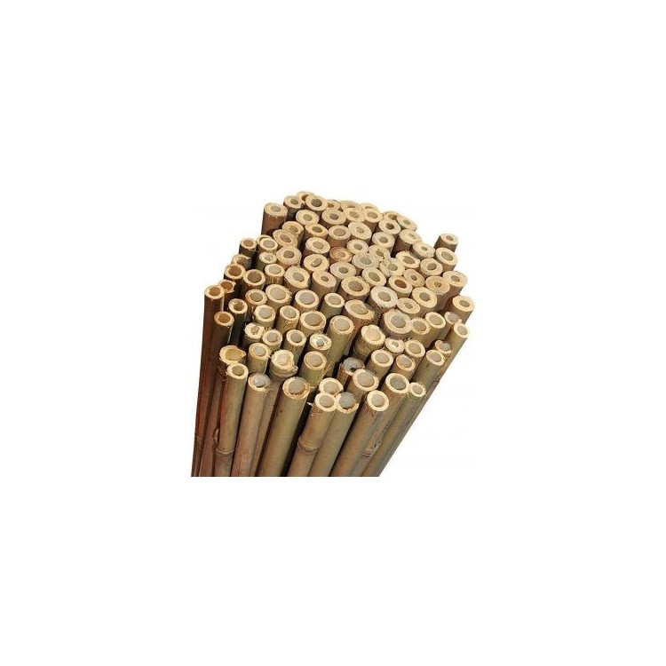 Canna di bambù 1,50 m diametro 2/2,2 cm - 50Pz