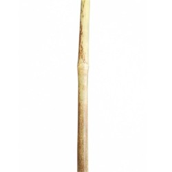 Canna di bambù 1,20 m diametro 1,4/1,6 cm - 20 Pz