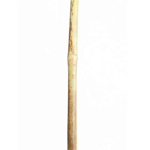Canna di bambù 1,20 m diametro 1,4/1,6 cm - 50Pz