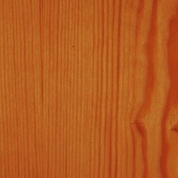 Prottetivo completo Expert all'acqua 0,75 L finitura a cera - Castagno scuro