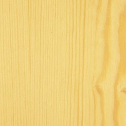 Prottetivo completo Expert all'acqua 2,5 L finitura a cera - Incolore