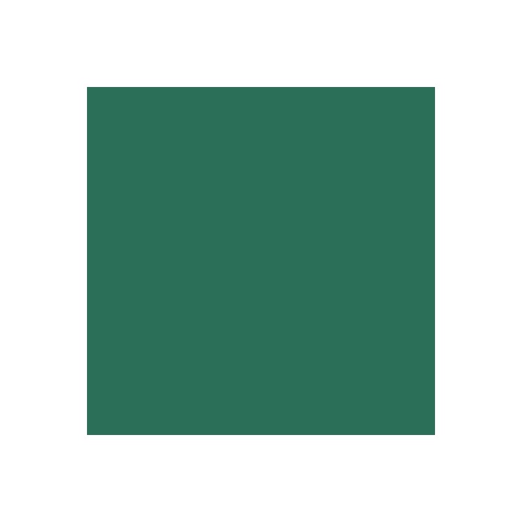 Smalto antiruggine Expert alta protezione 0,25 L - Verde ral 6005