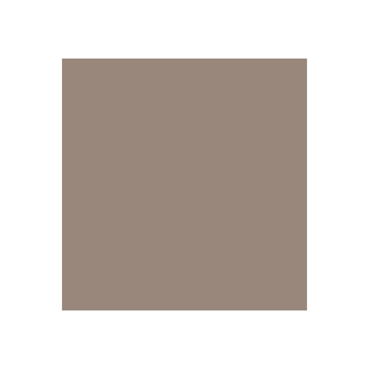 Smalto all'acqua Expert multi supporto 0,125 L - grigio talpa dorato