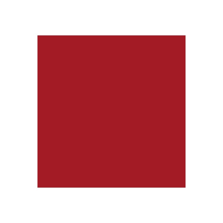 Smalto all'acqua Expert multi supporto 0,125 L - Rosso