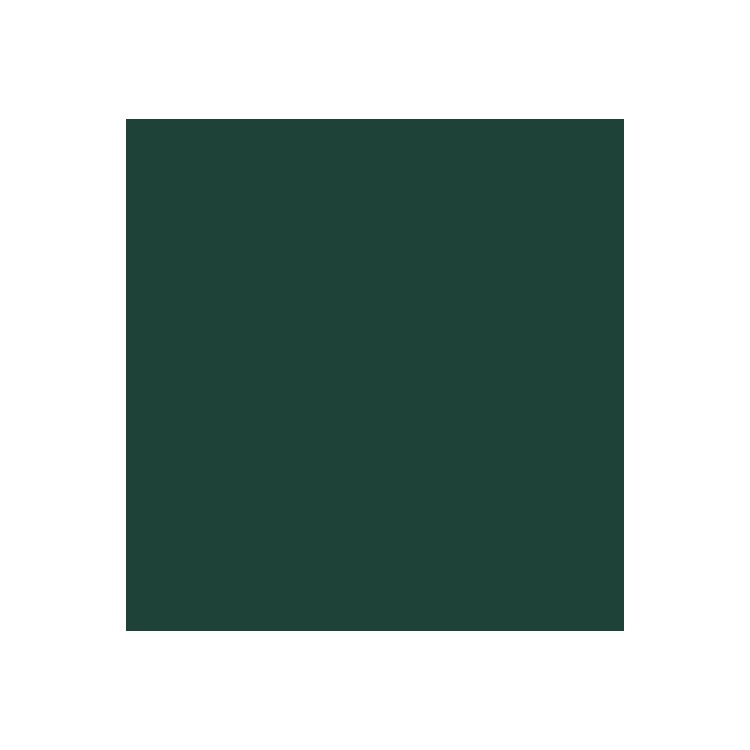 Smalto Multi-Materiale 4 in 1 Vari colori formato da 2,5 L - Verde