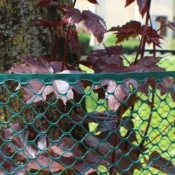 Rete Plastificata Maglia Esagonale lunga 10 m