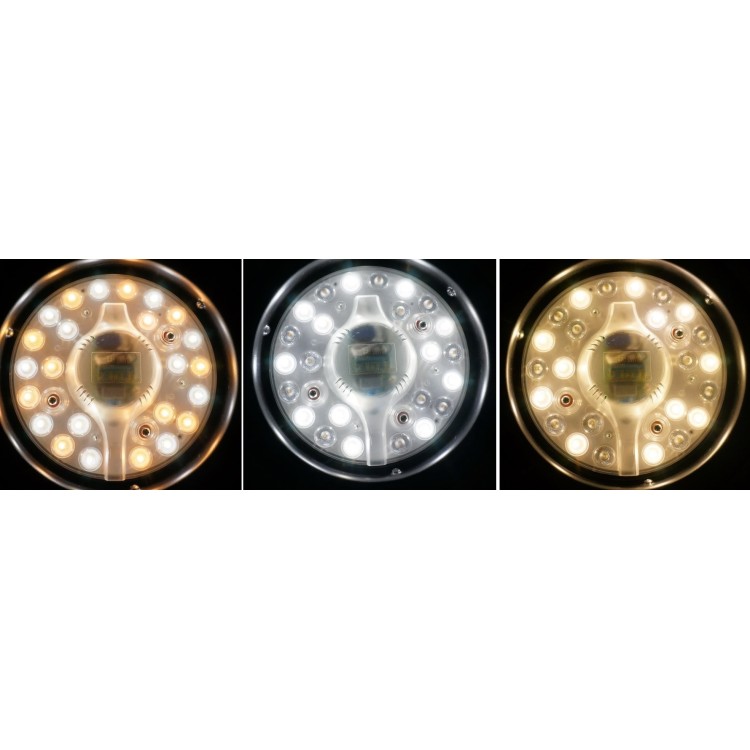 Rondine  Ventilatore a Soffitto colore Bianco