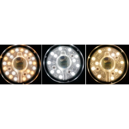 Rondine  Ventilatore a Soffitto colore Bianco