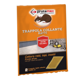 TRAPPOLA COLLANTE RATTI 19x28