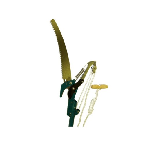 Tagliarami a pertica telescopica