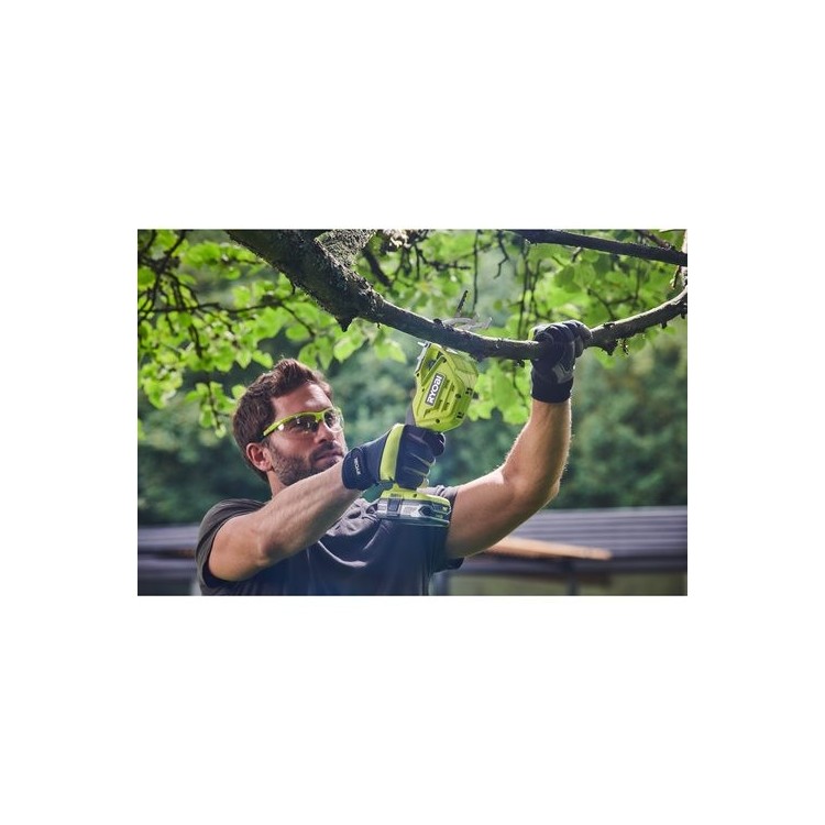 Seghetto da Potatura 18V