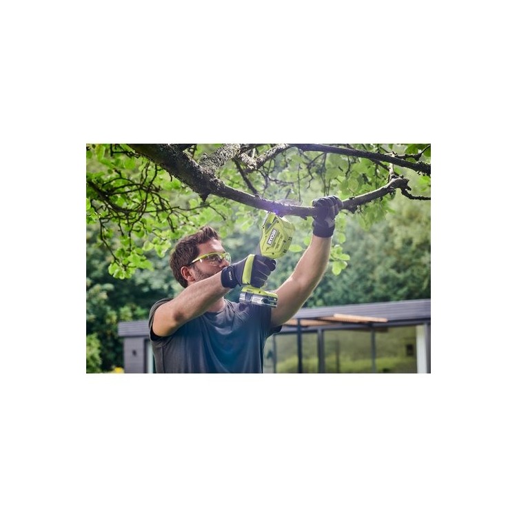 Seghetto da Potatura 18V