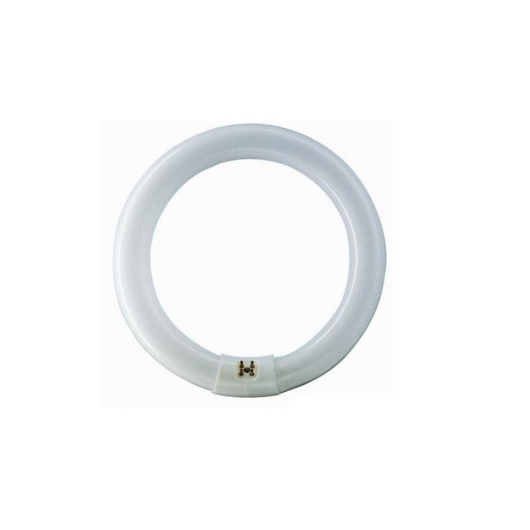 CIRCOLINA FLUORESCENTE 32W DAYLIGHT