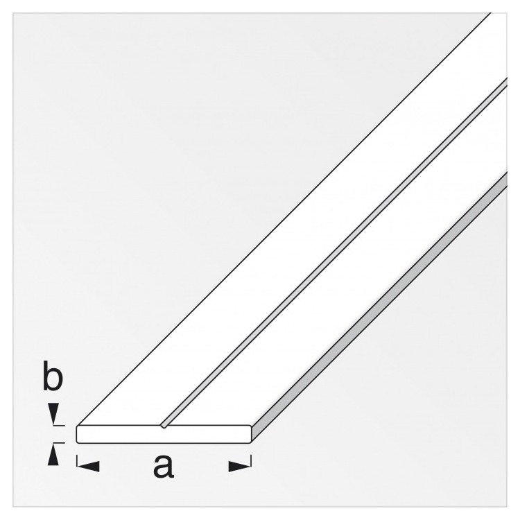 Barra piatta Plastica (PVC rigido) 21854