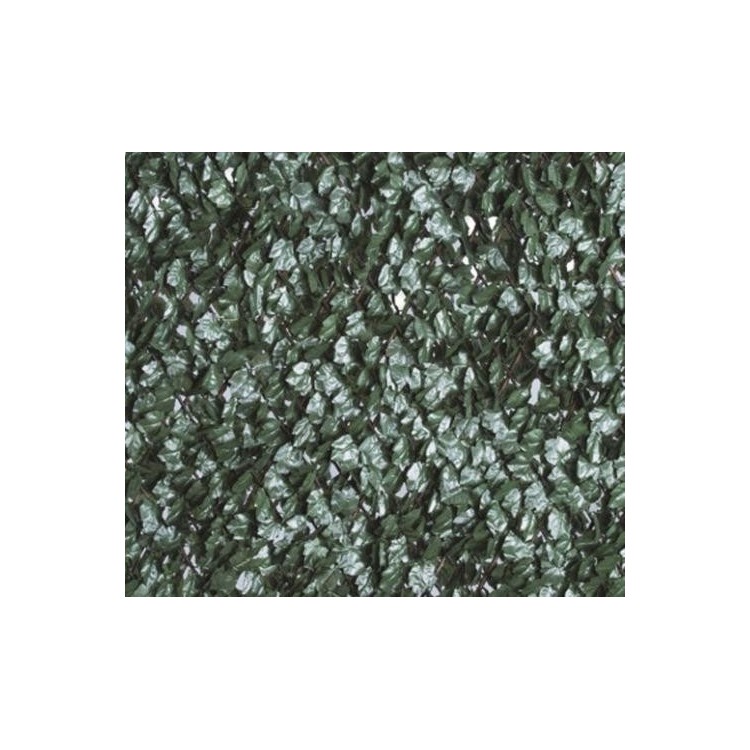 SIEPE SU TRALICCIO 100X200 edera