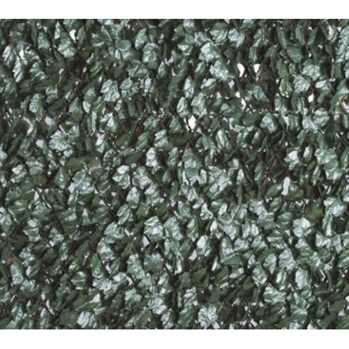 SIEPE SU TRALICCIO 100X200 edera