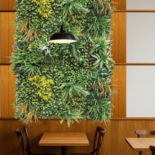 Sempreverde  ECUADOR Verticale