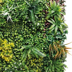 Sempreverde  ECUADOR Verticale 2