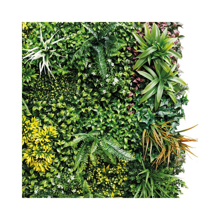 Sempreverde  ECUADOR Verticale