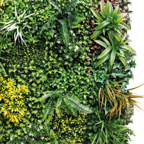 Sempreverde  ECUADOR Verticale