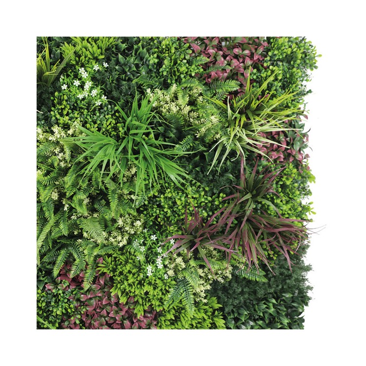 Sempreverde NICARAGUA Verticale